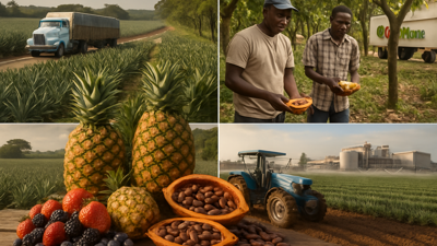 Global Agricultural Renaissance: From Argentina's Berry Exports to Ghana's Cocoa Crisis, February 2026 Reveals Stark Food Security Contrasts